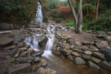 Göllü ve kafeli Yıldız Parkı 'nın panoramik manzarası