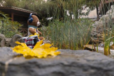 Göllü ve kafeli Yıldız Parkı 'nın panoramik manzarası