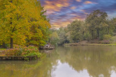 İstanbul 'un Sariyer ilçesinde Atatürk Ağacı