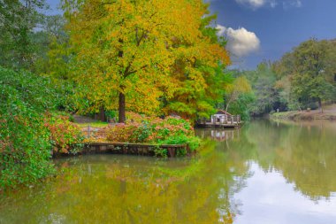 İstanbul 'un Sariyer ilçesinde Atatürk Ağacı