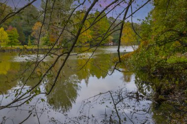 İstanbul 'un Sariyer ilçesinde Atatürk Ağacı
