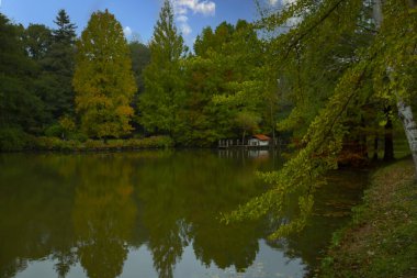 İstanbul 'un Sariyer ilçesinde Atatürk Ağacı