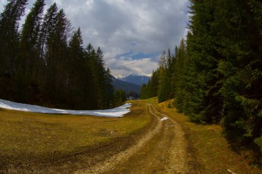 Zugspitze ve Sonnenspitze, Wetterstein Dağları, Alpler, Tyrol, Avusturya, Avrupa ile Seebensee 'ye bakan yürüyüşçü