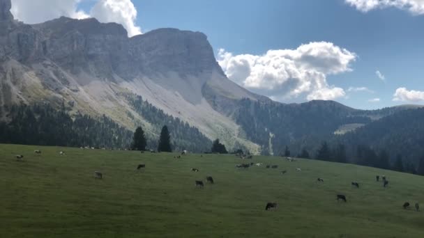 Альпинисты Ландшафтные Альпинисты Региона Доломиты — стоковое видео
