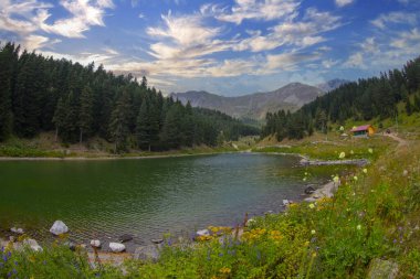 Artvin Bölgesi Savsat Balık Gölü