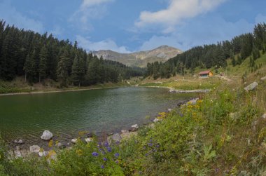 Artvin Bölgesi Savsat Balık Gölü