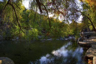 Kazdagi Dağı 'ndaki Ceneviz Köprüsü