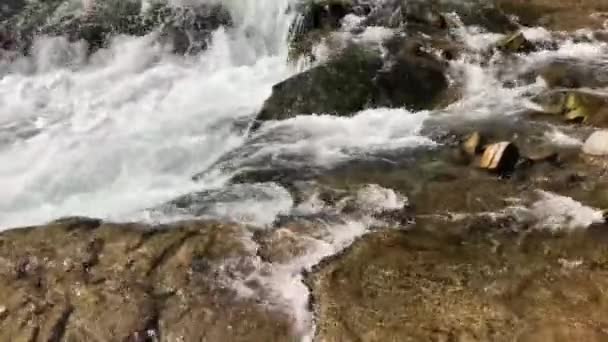 Erzurum Tortum Cascada Naturaleza — Vídeos de Stock