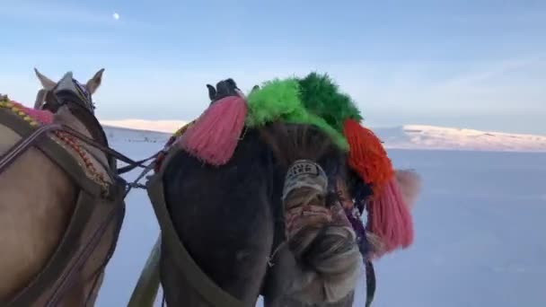 Ψαράδες Σπάνε Τον Πάγο Και Ψαρεύουν Στη Λίμνη Κίλντιρ Μια — Αρχείο Βίντεο