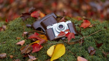 Değerli Eski kameralar doğada çekildi