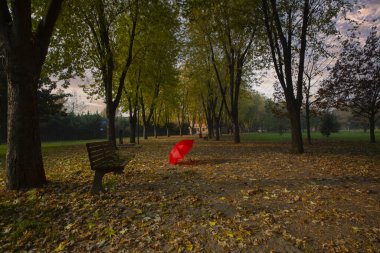 Sonbaharda manzara parkı. Güneşli bir günde sonbahar manzarası. İnsanlar güneşli havada parkta geziniyorlar. Renkli ağaçlar sonbahar mevsiminin güzelliğini gösterir. Botanik Parkı, Bursa, Türkiye.