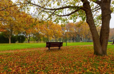 Sonbaharda manzara parkı. Güneşli bir günde sonbahar manzarası. İnsanlar güneşli havada parkta geziniyorlar. Renkli ağaçlar sonbahar mevsiminin güzelliğini gösterir. Botanik Parkı, Bursa, Türkiye.