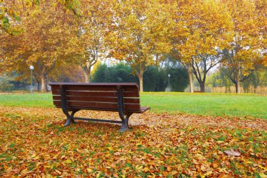 Sonbaharda manzara parkı. Güneşli bir günde sonbahar manzarası. İnsanlar güneşli havada parkta geziniyorlar. Renkli ağaçlar sonbahar mevsiminin güzelliğini gösterir. Botanik Parkı, Bursa, Türkiye.
