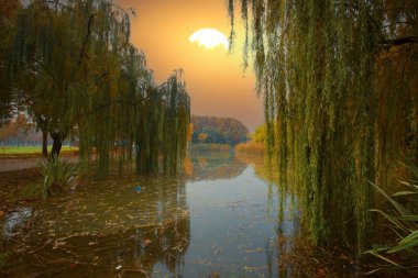 Sonbaharda manzara parkı. Güneşli bir günde sonbahar manzarası. İnsanlar güneşli havada parkta geziniyorlar. Renkli ağaçlar sonbahar mevsiminin güzelliğini gösterir. Botanik Parkı, Bursa, Türkiye.