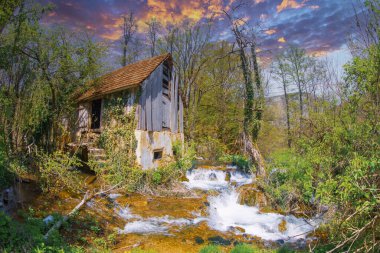 Martin Brod 'un Şelaleleri Una Ulusal Parkı, Bosna-Hersek' te