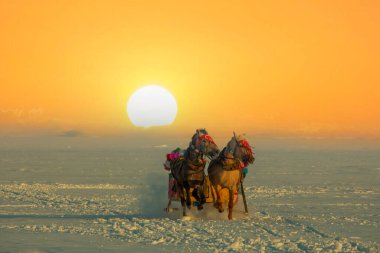 İdr Gölü, Ardahan ilinde Türkiye 'nin kuzeydoğusunda yer alan bir tatlı su gölüdür..