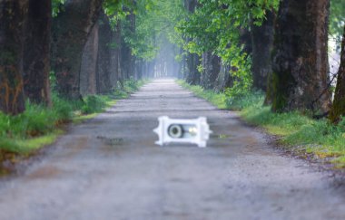 Ağaç Tüneli Dudakli İnegol, Bursa Türkiye
