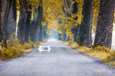 Ağaç Tüneli Dudakli İnegol, Bursa Türkiye