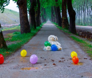 Ağaç Tüneli Dudakli İnegol, Bursa Türkiye