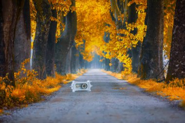 Ağaç Tüneli Dudakli İnegol, Bursa Türkiye