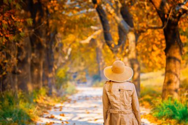 Ağaç Tüneli Dudakli İnegol, Bursa Türkiye