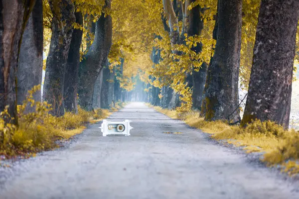 Ağaç Tüneli Dudakli İnegol, Bursa Türkiye
