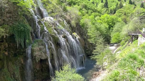 美しい Kuzalan の滝カラデニズ州 シェビンカラヒサル ギレスン トルコ — ストック動画