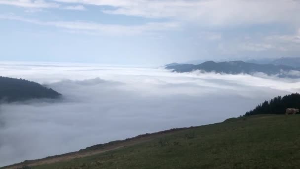 Національний Парк Качкарських Гір Вітає Фотографії Мандрівників — стокове відео