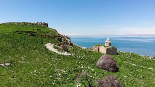 Carpanak Adası Van Türkiye — Stok video