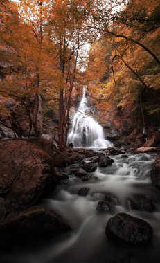 Ormanda şelale manzarası. Erikli şelalesi, Yalova.