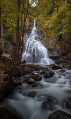 Ormanda şelale manzarası. Erikli şelalesi, Yalova.