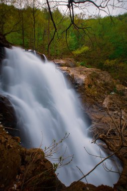 Ormanda şelale manzarası. Erikli şelalesi, Yalova.