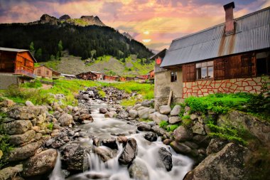 Elevit Platosu Karadeniz 'in en güzel yeridir. Rize Türkiye