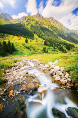 Elevit Platosu Karadeniz 'in en güzel yeridir. Rize Türkiye