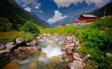 Elevit Platosu Karadeniz 'in en güzel yeridir. Rize Türkiye