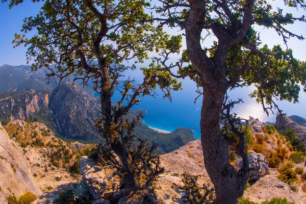  MUGLA İspatlama, LYCIA, TURKEY. Yediburun ve Bel köyleri arasındaki 