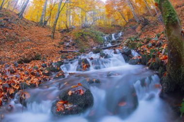 Sonbahar sahnesi. Yedi Bolu Gölü Türkiye