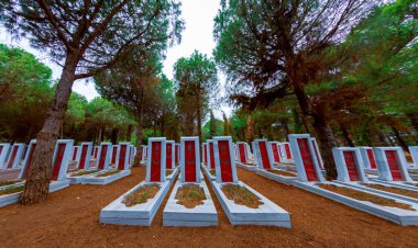 Çanakkale Şehitleri Anıtı, Gelibolu Muharebesi 'ne katılan yaklaşık Türk askerlerinin anısına dikilmiş bir savaş anıtı..
