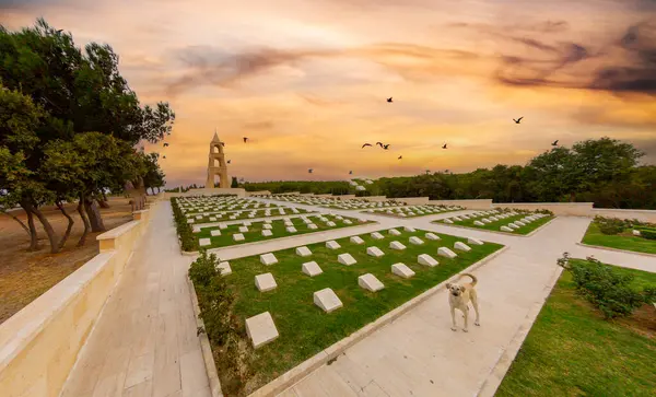 Cimetière Militaire Mémorial Des Martyrs Canakkale Est Monument Guerre Commémorant — Photo