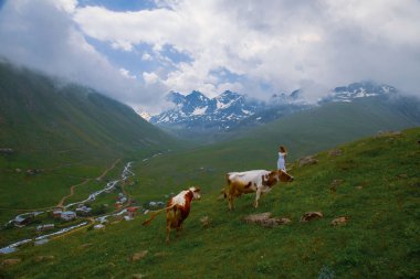Rize 'nin Camlihemsin ilçesine bağlı Cicekli Platosu. Kackar Dağları bölgesi. Rize, Hindi. (Türkçe: Cicekli Yaylasi)