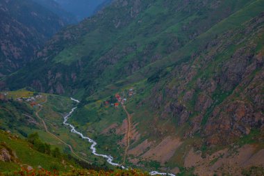 Rize 'nin Camlihemsin ilçesine bağlı Cicekli Platosu. Kackar Dağları bölgesi. Rize, Hindi. (Türkçe: Cicekli Yaylasi)