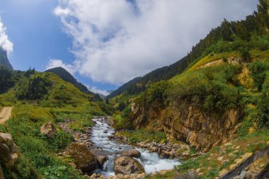 Rize 'nin Camlihemsin ilçesine bağlı Cicekli Platosu. Kackar Dağları bölgesi. Rize, Hindi. (Türkçe: Cicekli Yaylasi)