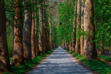 Vrelo, Bosne, Bosna-Hersek 'teki Great Lane.