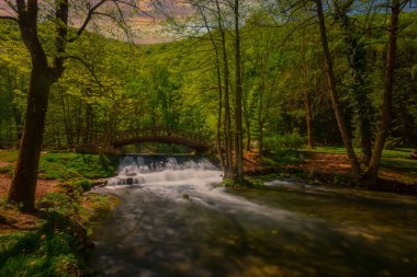 Ahşap bir köprünün altında güzel bir şelale
