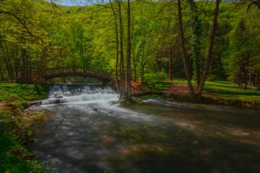 Ahşap bir köprünün altında güzel bir şelale