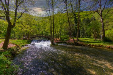 Ahşap bir köprünün altında güzel bir şelale