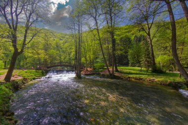 Ahşap bir köprünün altında güzel bir şelale