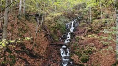 Sonbahar orman manzarası ahşap iskeleli suya yansıyor - Yedigoller Park Bolu, Türkiye 'de sonbahar manzarası (yedi göl)