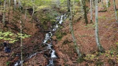 Sonbahar orman manzarası ahşap iskeleli suya yansıyor - Yedigoller Park Bolu, Türkiye 'de sonbahar manzarası (yedi göl)