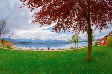 Hopfen am See, Hopfensee, Allgaeu Alps, Bavyera, Almanya